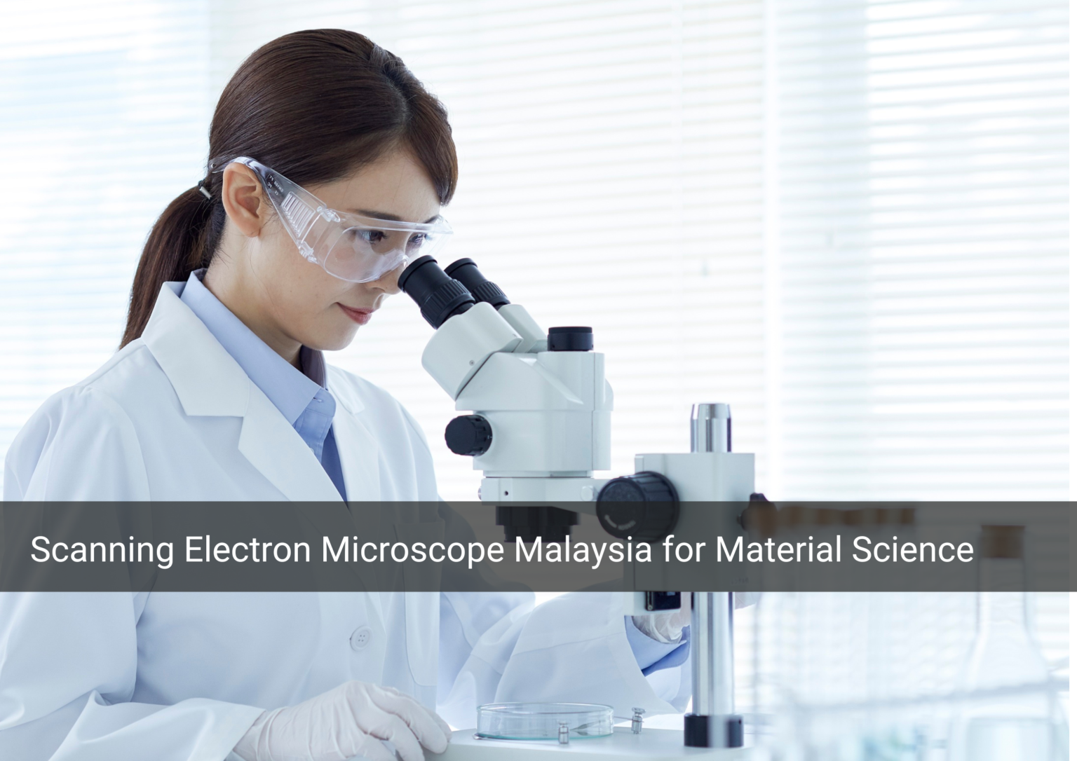 Scanning Material Image Scanning Electron Microscope Malaysia for Material and Metallurgy Analysis
